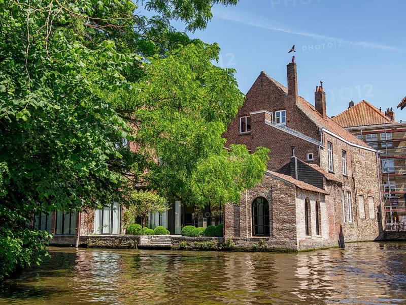 Historic buildings and willow trees along a river on a sunny day, historic city by the river with ornate gables, old facades and historic towers, Bruges, Belgium, Europe