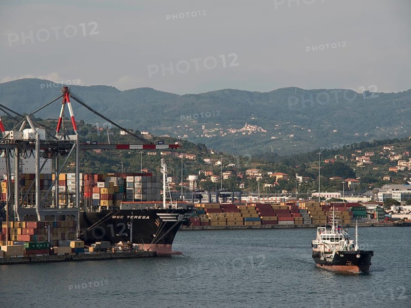 Industrial harbour with container ships and cranes in front of a mountain landscape, Bari, Italy, Europe