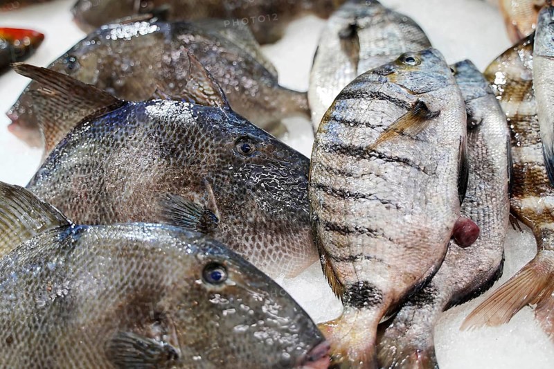 Market hall, Mercado de Nuestra Senora de Africa, Santa Cruz de Tenerife, Tenerife, Canary Islands, Spain, Europe, Close-up of fresh fish presented on a market stall, Europe