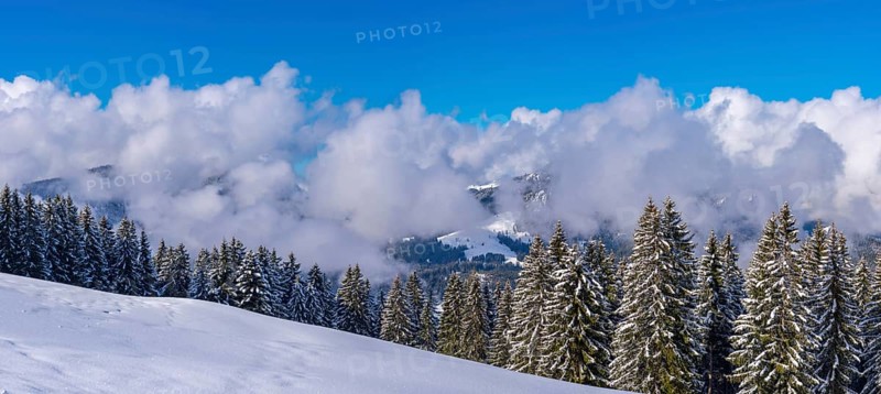 Panorama Hoehenweg, Kleinwalsertal, Allgaeu Alps, Vorarlberg, Austria, Europe