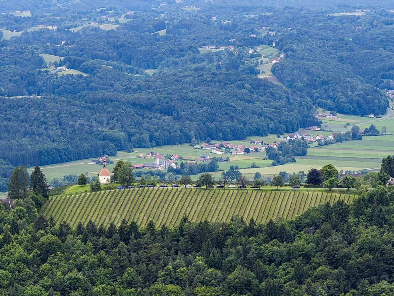 Hilly landscape, vineyards, view from the Demmerkogel lookout point, St. Andrae-Hoech, Sausal wine country, Styria, Austria, Europe