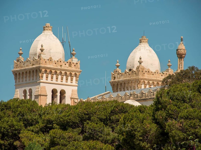 Large white domes of a historic building rise above the green of the trees, Tunis in Africa with ruins from Roman times, modern mosques and blue and white houses in sidi-bou-said, Tunis, Tunisia, Africa