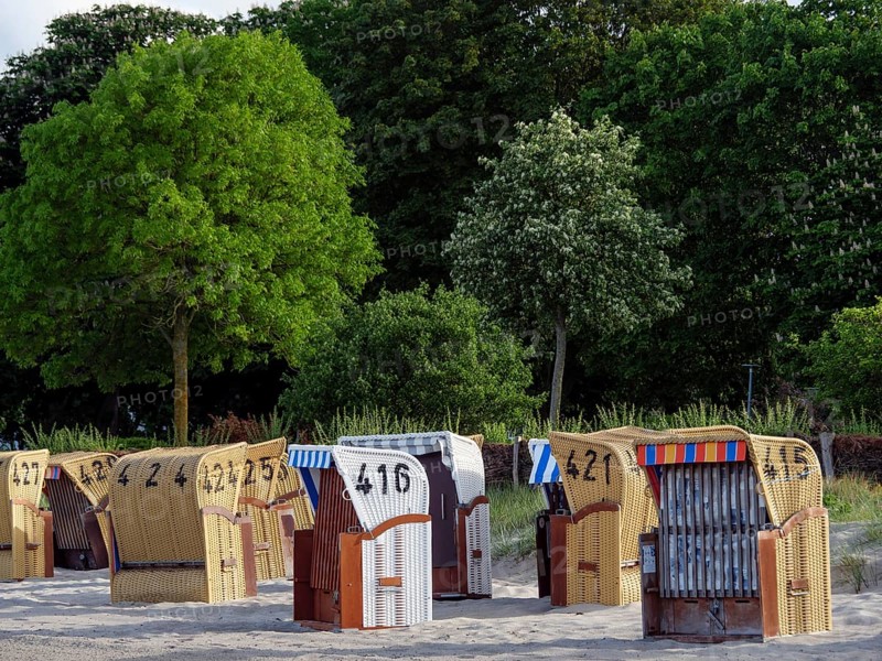 Beach chairs lined up in the sand against a backdrop of dense, green trees, colourful beach chairs on a small sandy beach on the Baltic Sea, Eckernfoerde, Germany, Europe