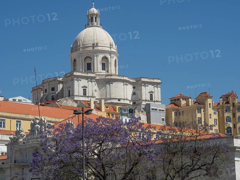 Impressive building with a large dome and purple blossoming trees in the foreground under a blue sky, Lisbon, Portugal, Europe