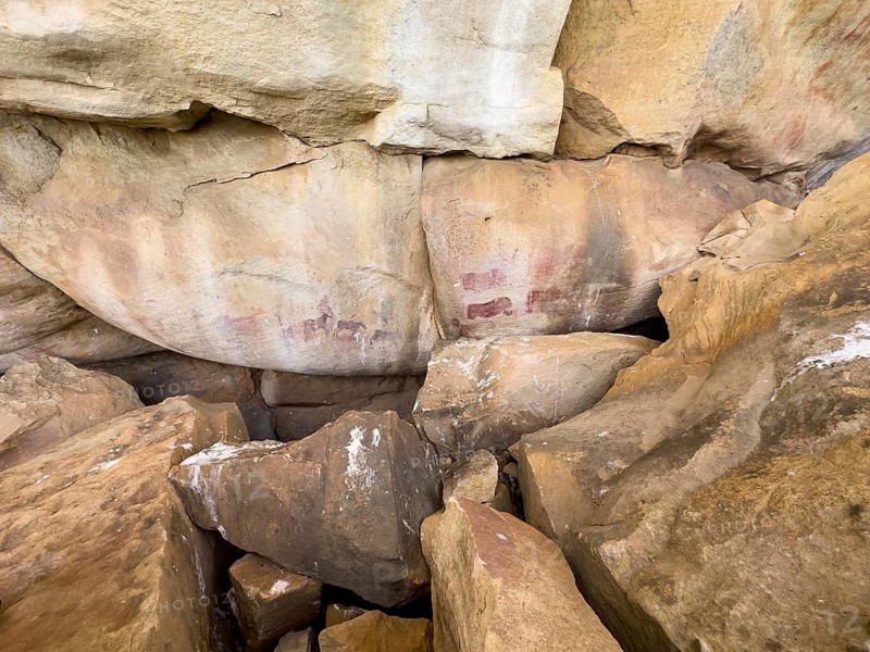Prehistoric animal depictions on a rock, San rock paintings, Sevilla Art Rock Trail, Cederberg Mountains, near Clanwilliam, Western Cape, South Africa, Africa