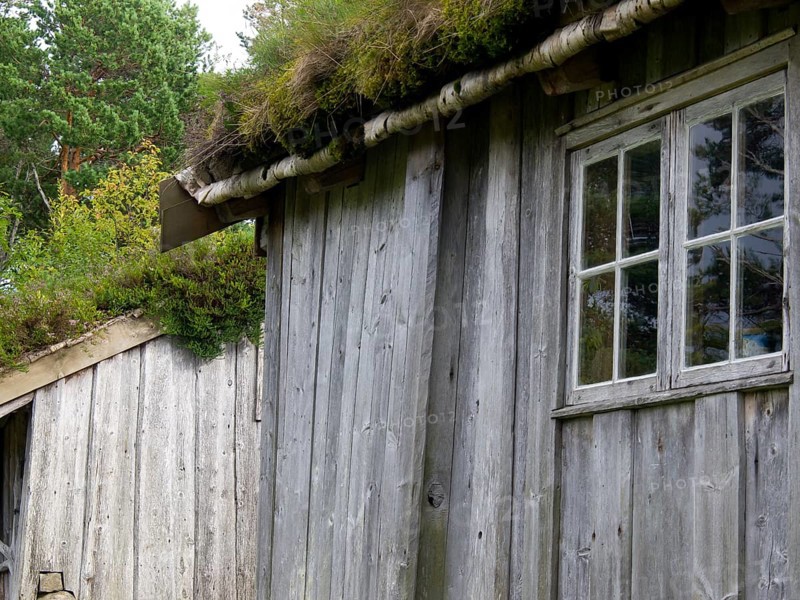 Side view of a rustic wooden hut with windows and grass roof, surrounded by trees, grey wooden houses in the forest, Molde, norway