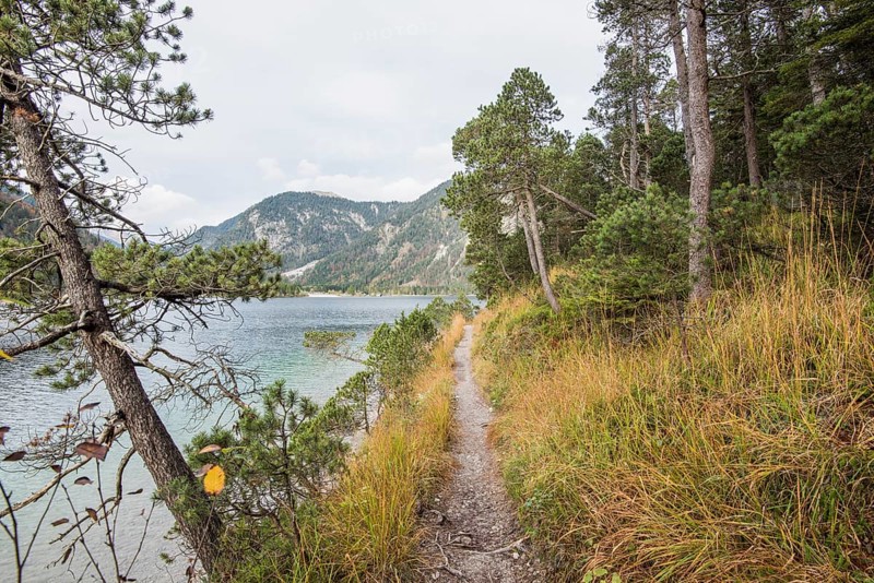Landscape of a little trail going beside a clear lake (Plansee) in autumn in Tirol