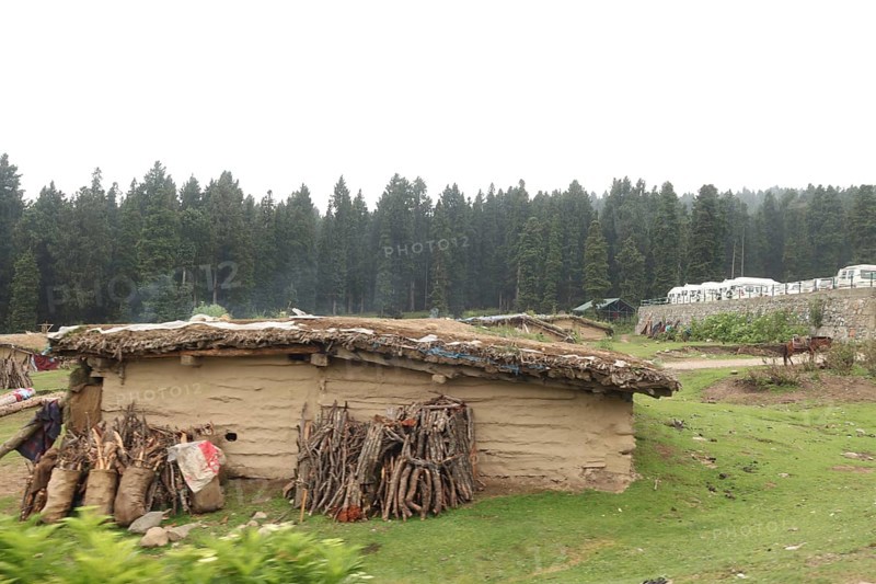 Mud house with logs stacked against it, set in a lush green rural landscape with forest in the background