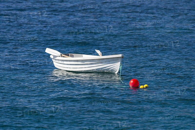 Rowing boat near Arrieta, Lanzarote, Canary Islands, Spain, Europe