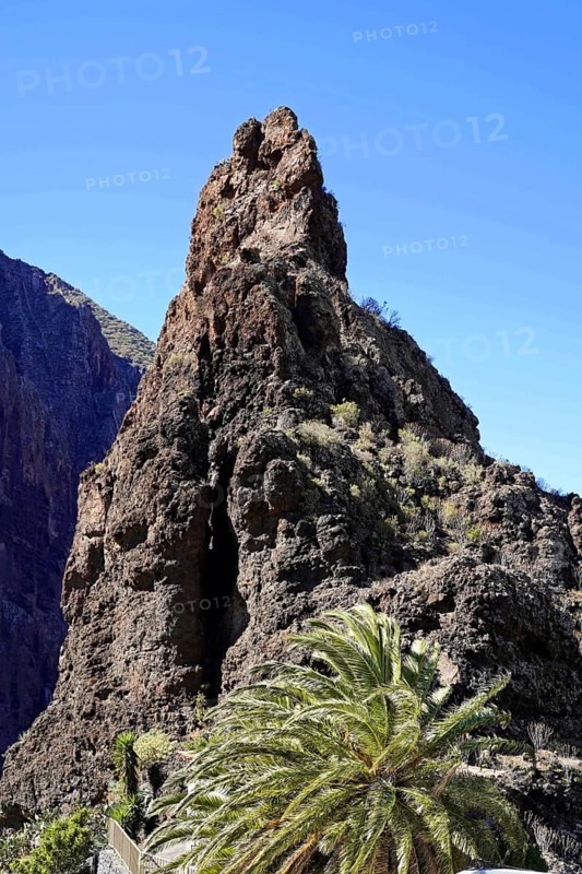 Mountain village Masca, Masca Gorge, Montana Teno Mountains, Tenerife, Canary Islands, Spain, Europe, Close-up of an impressive rock accompanied by a palm tree under a bright blue sky, Europe