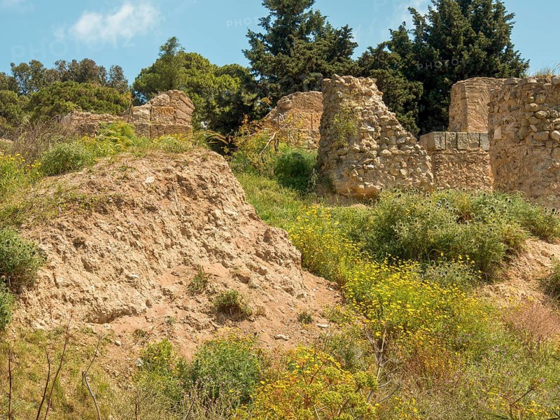 Stony ruins on a green hill under a sunny sky, Tunis in Africa with ruins from Roman times, modern mosques and blue and white houses in sidi-bou-said, Tunis, Tunisia, Africa
