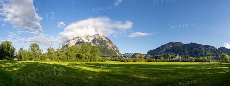 Trees in a meadow, Grimming mountain range in the morning light, panoramic shot, near Irdning, Styria, Austria, Europe