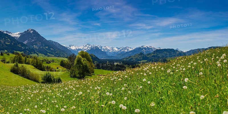 Panorama from Malerwinkel into the Illertal valley, with the Allgaeu Alps behind, Oberallgaeu, Bavaria, Germany, Europe