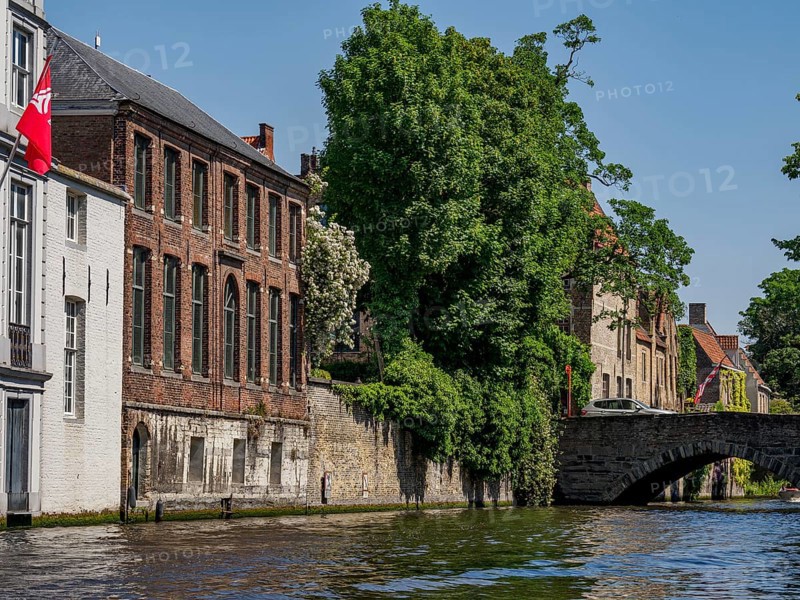 Historic buildings along a canal with a bridge and lush green trees in a sunny scene, historic city by the river with ornate gables, old facades and historic towers, Bruges, Belgium, Europe