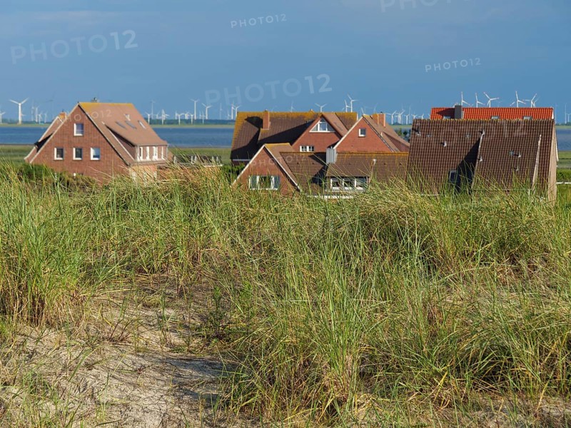 View from grassy dunes to brick houses with wind turbines and the sea in the background under blue sky, Baltrum Germany