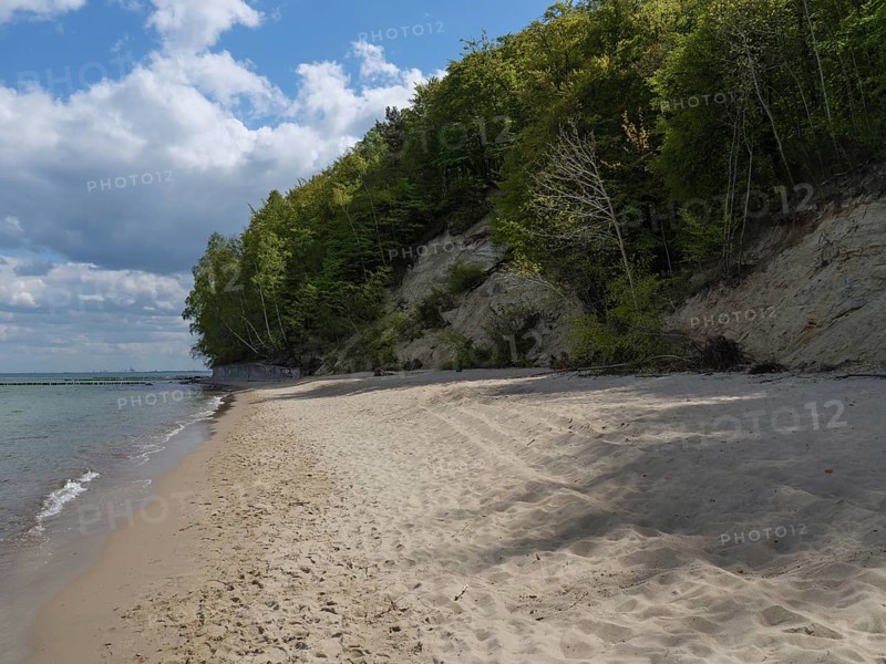 Sandy stretch of beach next to wooded dunes and a coastline, under a sky with cloud formations creating a calm atmosphere, Green trees on a Baltic Sea beach with clear water, Sopot, poland