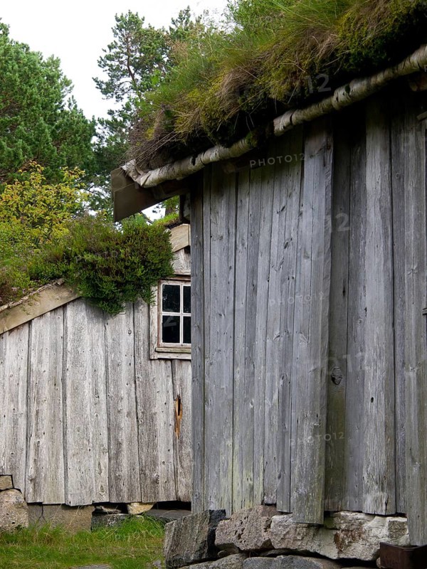 Close-up side view of a wooden hut with grass roof and windows in the forest, grey wooden houses in the forest, Molde, norway