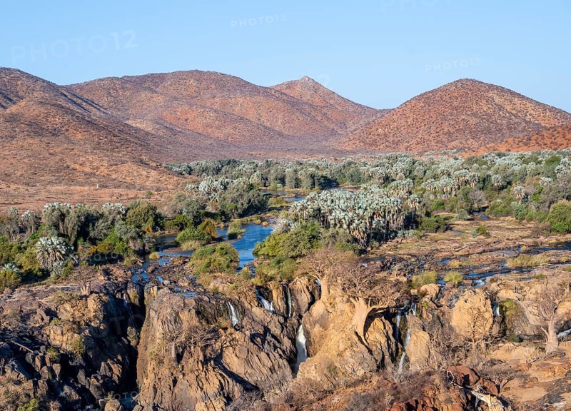 Kunene River with green vegetation in dry red mountain landscape, waterfall and African Baobab (Adansonia digitata), in the evening light, Epupa Falls, Kunene, Namibia, Africa