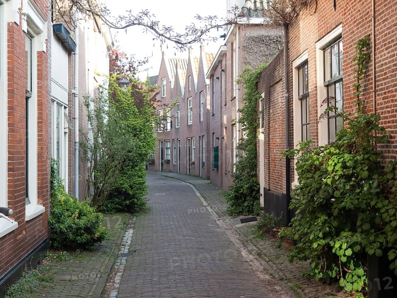 Cobblestone street with narrow houses and plants that create a quiet urban atmosphere, Haarlem, Netherlands