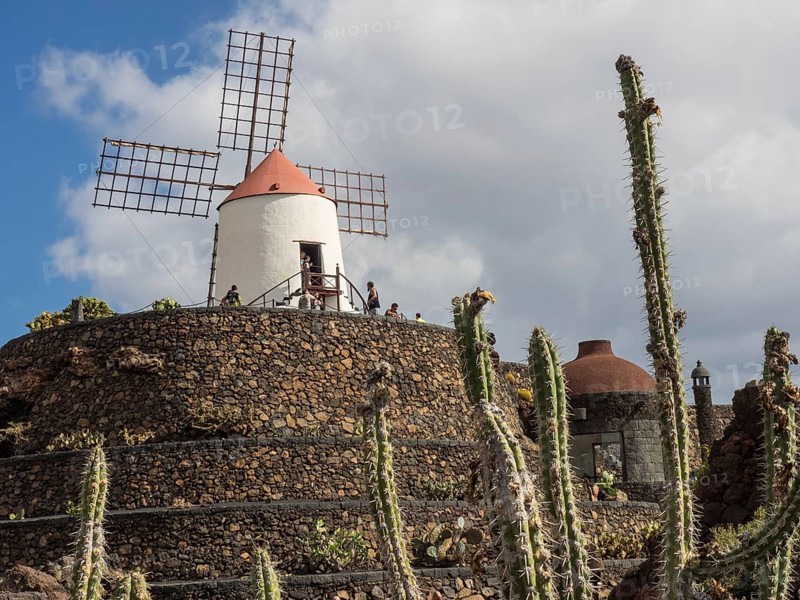 Historic windmill on a rocky hill with cacti in the foreground under a blue sky, Lanzarote, Spain, Europe