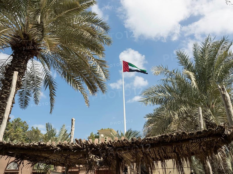 Flag of the United Arab Emirates waving in the wind, surrounded by palm trees and a thatched roof, fortress tower with flag in front of a palm tree, Abu dhabi, Arab Emirates