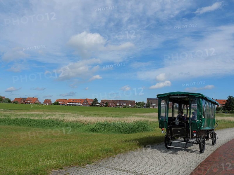 Carriage travelling on a cobbled road through a rural area with green fields and a village in the background, Baltrum Germany