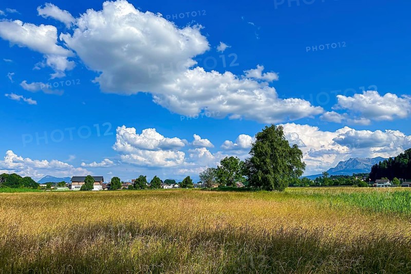 Idyllic landscape with fields, houses and trees under a clear blue sky with scattered clouds, Sempach, Lucerne, Switzerland, Europe