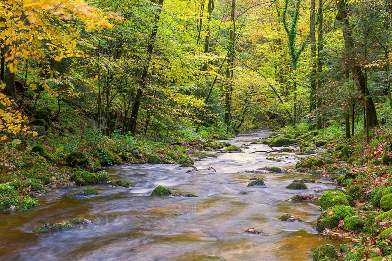 Grobbach in the northern Black Forest near Geroldsau, autumn, Baden-Baden, northern Black Forest, Baden-Wuerttemberg, Germany, Europe