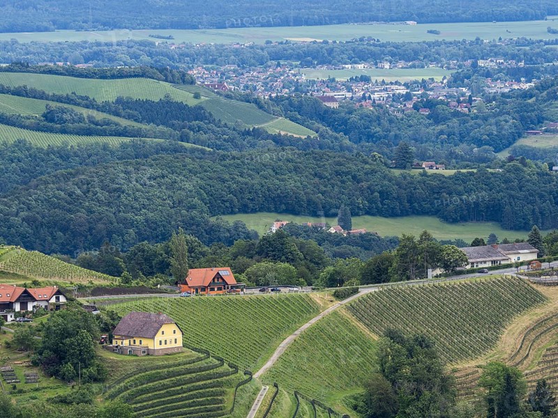Hilly landscape, vineyards, the town of Leibnitz in the background, view from the Demmerkogel viewing platform, St. Andrae-Hoech, Sausal wine country, Styria, Austria, Europe