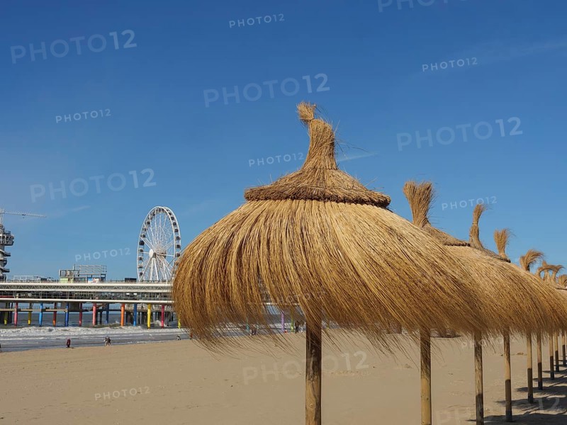 Beach with thatched parasols and a Ferris wheel in the background, parasols and a pier on the beach of Scheveningen, Scheveningen, Netherlands