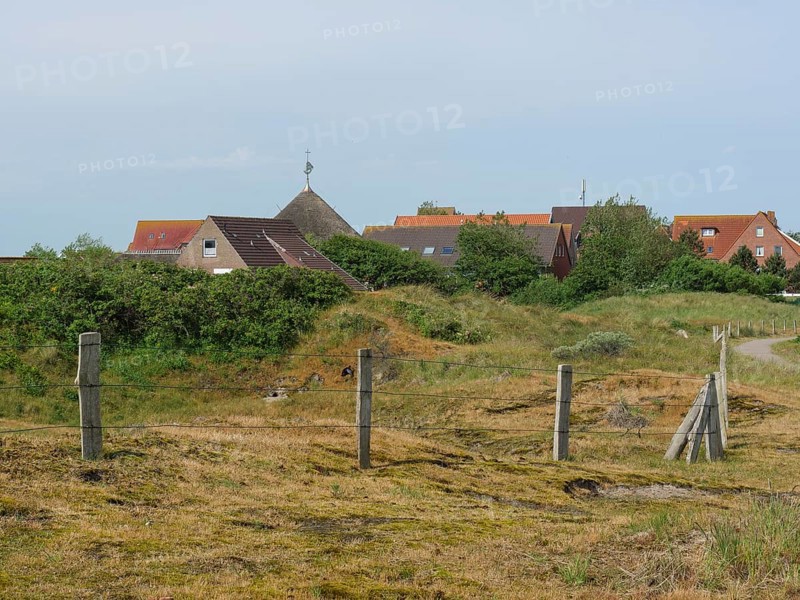 Summer landscape with village and fence, Baltrum Germany