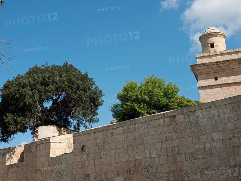 Old stone wall with trees growing on it and a tower in the background under a blue sky, the town of mdina on the island of malta with historic houses, colourful balconies, magnificent churches, mdina, Malta, Europe