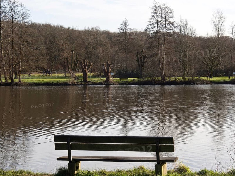 Wooden bench overlooking tranquil lake, reflecting the surrounding trees, small lake with hiking trails and trees in Muensterland, Borken, Germany, Europe