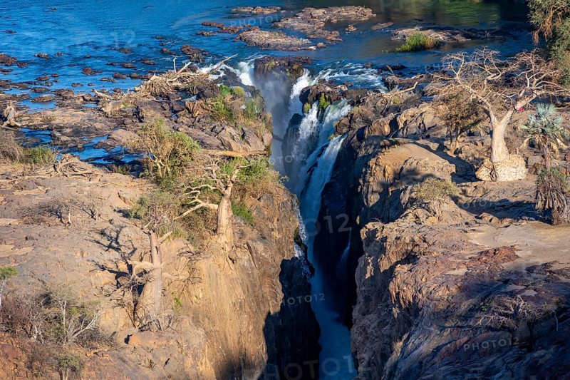 Kunene River, waterfall and African Baobab (Adansonia digitata), in the evening light, Epupa Falls, Kunene, Namibia, Africa
