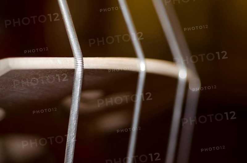 Close Up on a String on a Music Instrument Violoncello in Switzerland