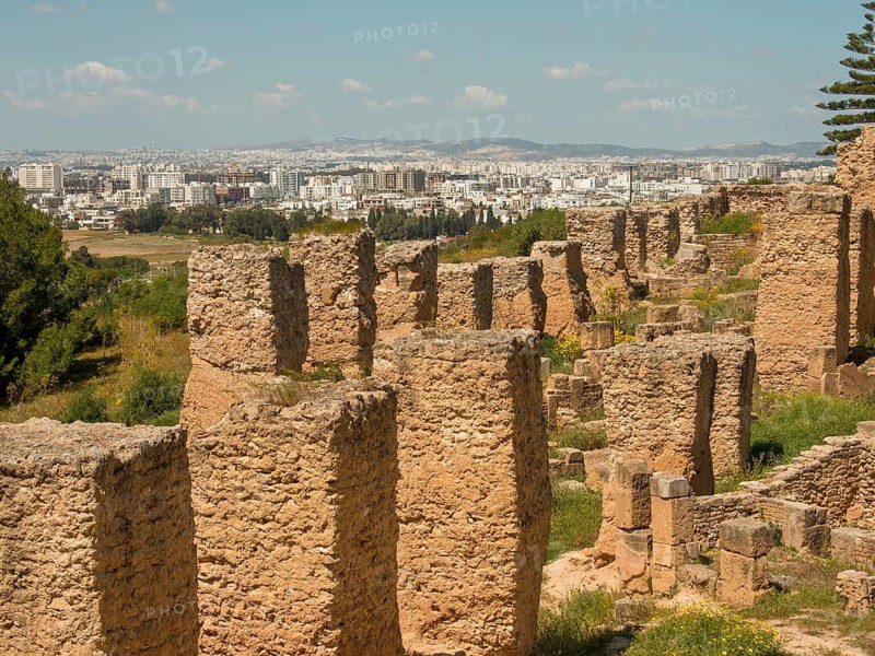 Overview of ancient ruins set against a modern urban landscape, Tunis in Africa with ruins from Roman times, modern mosques and blue and white houses in sidi-bou-said, Tunis, Tunisia, Africa