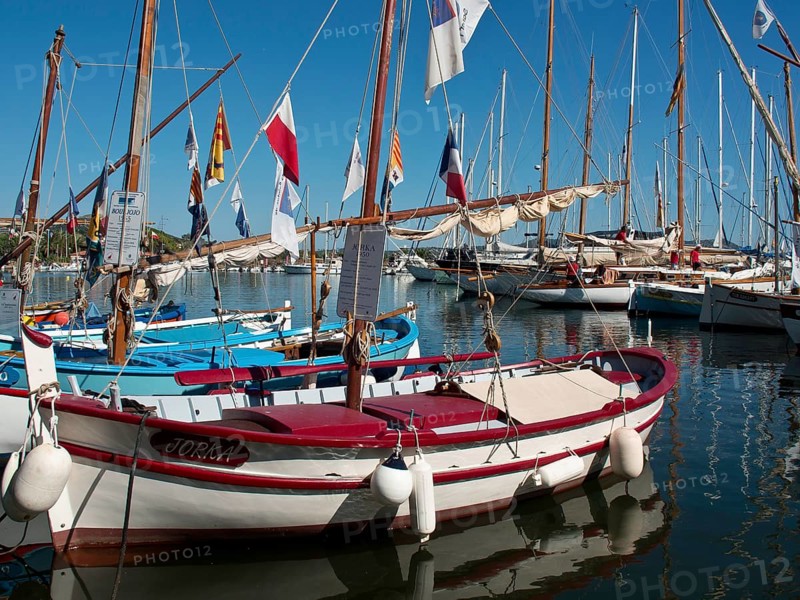 Close-up of sailing boats in the harbour against a blue sky, la seyne sur mer on the mediterranean sea with boats in the harbour, trees and houses on the coast, la seyne sur mer, france