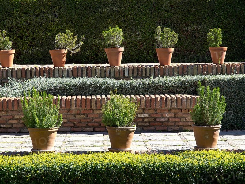Terracotta pots with green plants on a stepped wall, surrounded by a well-kept hedge, the historic fortress of Malaga on the Mediterranean Sea with walls and palm trees, Malaga, Spain, Europe