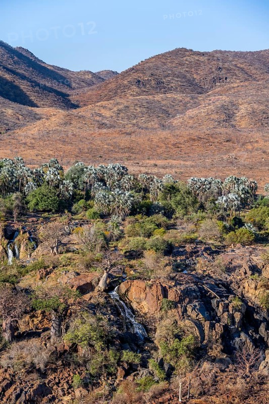 Kunene River with green vegetation in dry red mountain landscape, waterfall and African Baobab (Adansonia digitata), in the evening light, Epupa Falls, Kunene, Namibia, Africa