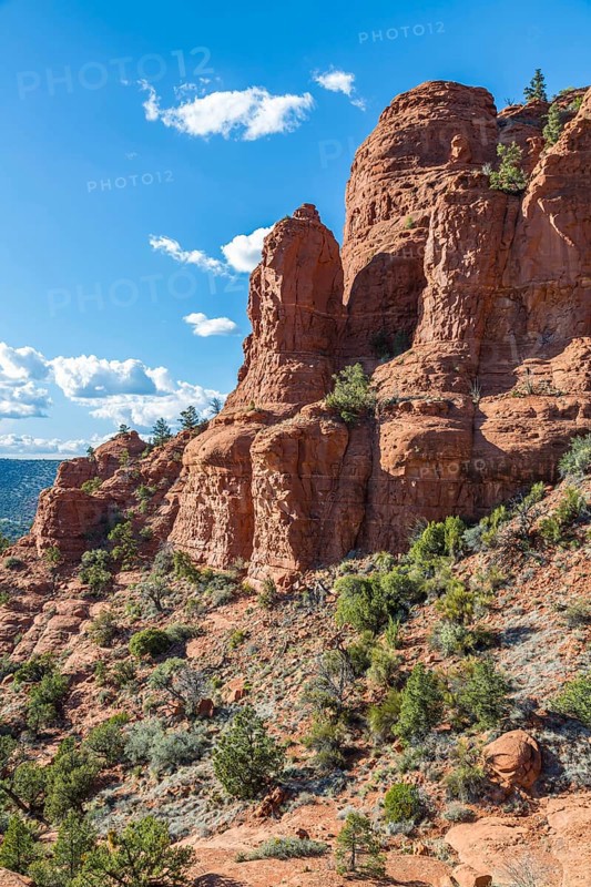 Red rock sandstone formations of Sedona, Arizona, United States of America, USA, North America