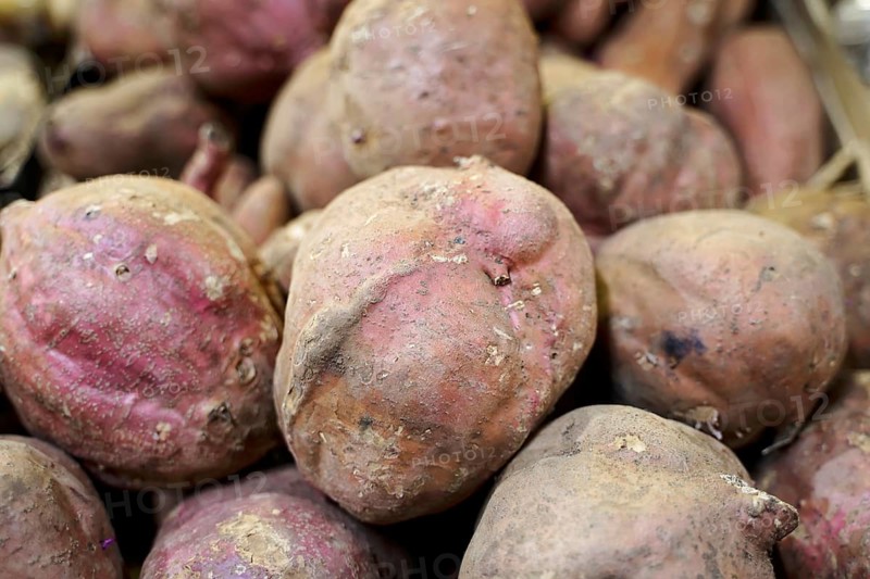 Market hall, Mercado de Nuestra Senora de Africa, Santa Cruz de Tenerife, Tenerife, Canary Islands, Spain, Europe, Close-up of raw sweet potatoes with irregular surface and red-brown colour, Europe
