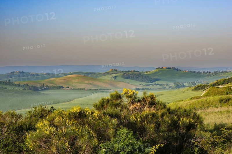 Crete Senesi, Province of Siena, Tuscany, Italy, Europe