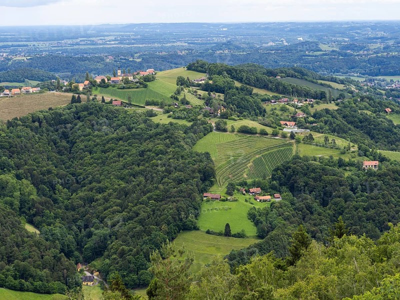 Hilly landscape, vineyards, view from the Demmerkogel lookout point, St. Andrae-Hoech, Sausal wine country, Styria, Austria, Europe