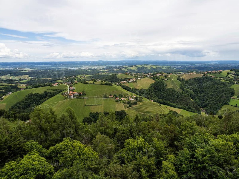 Hilly landscape, vineyards, view from the Demmerkogel lookout point, St. Andrae-Hoech, Sausal wine country, Styria, Austria, Europe