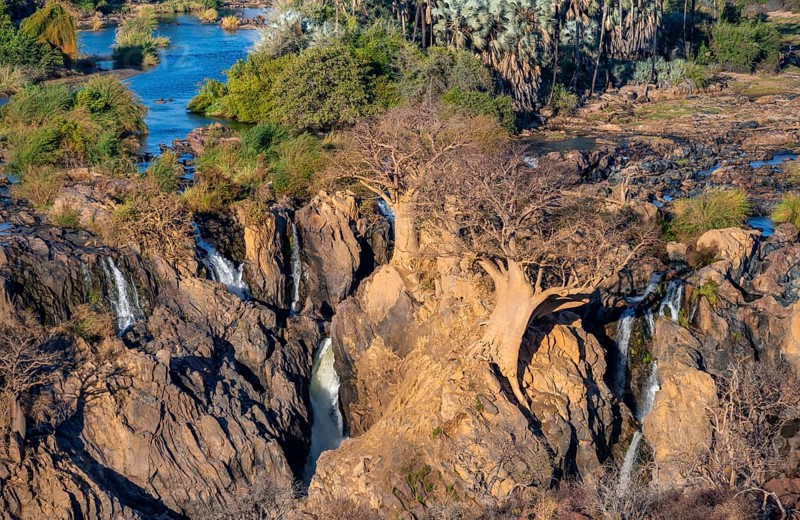 Kunene River, waterfall and African Baobab (Adansonia digitata), in the evening light, Epupa Falls, Kunene, Namibia, Africa