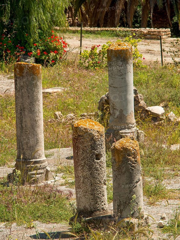 Ancient stone pillars of ruins surrounded by vegetation and grasses, Tunis in Africa with Roman ruins, modern mosques and blue and white houses in sidi-bou-said, Tunis, Tunisia, Africa