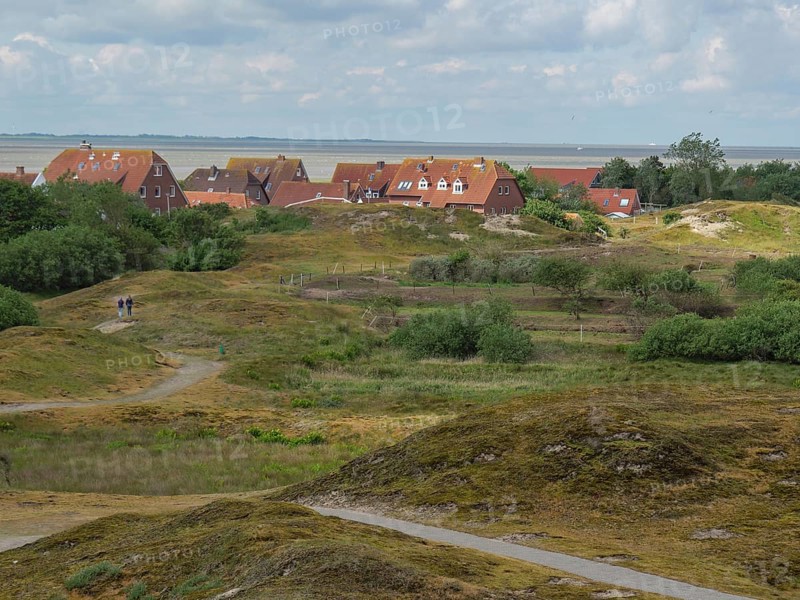 View of houses in the dunes with green vegetation and sea in the background under a cloudy sky, Baltrum Germany