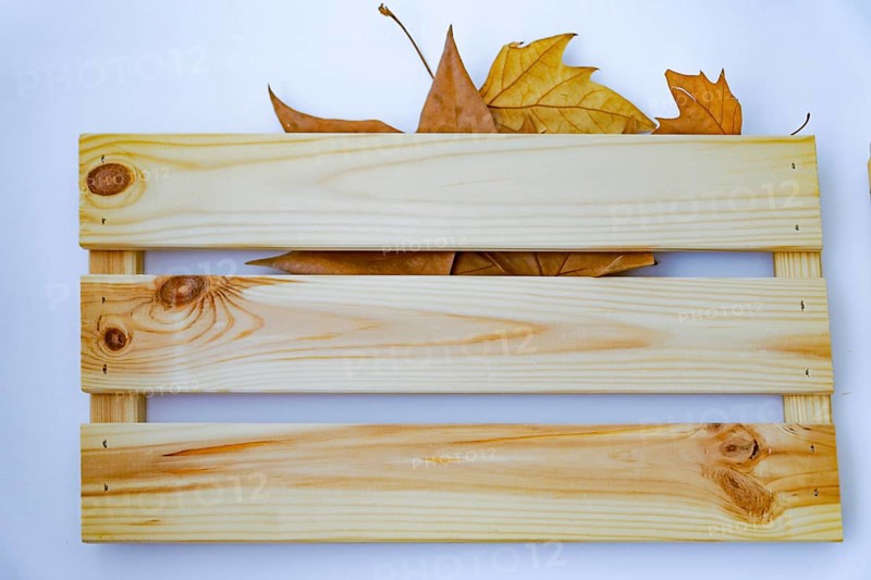 Dried tree leaves hanging on a wooden hanger on a blue wall