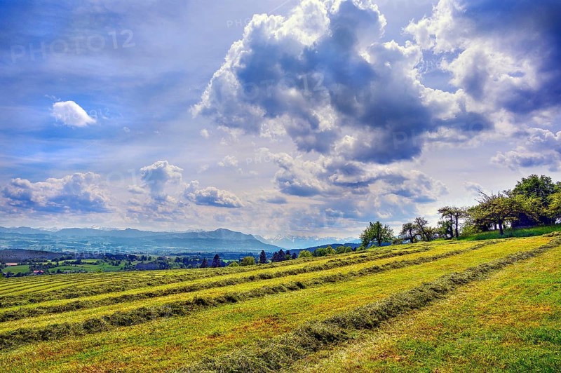 Spring, meadow with the first mowing and dramatic cloud formation over the Alps, Allgaeu, Bavaria, Germany, Europe