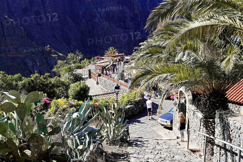 Mountain village Masca, Masca Gorge, Montana Teno Mountains, Tenerife, Canary Islands, Spain, Europe, Stone path amidst palm trees and cacti, with people along the way and houses nestled between high rocks, Europe